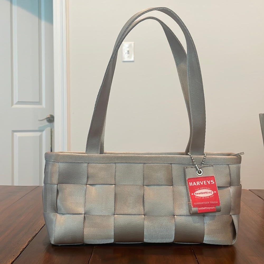 Harveys Original Seatbelt Bag in Champaign